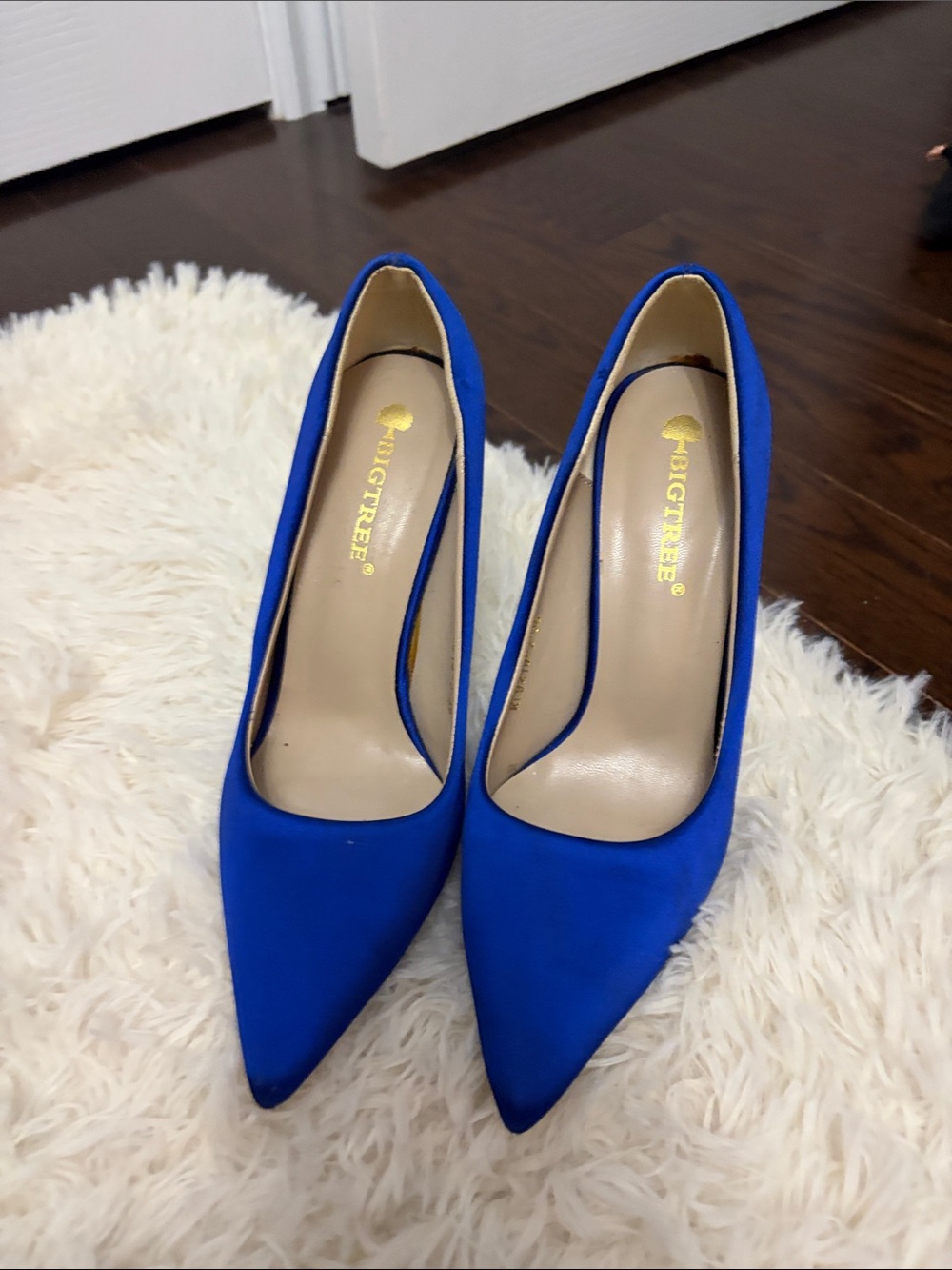 Bigtree Women's Royal Blue Pointed-Toe Pumps